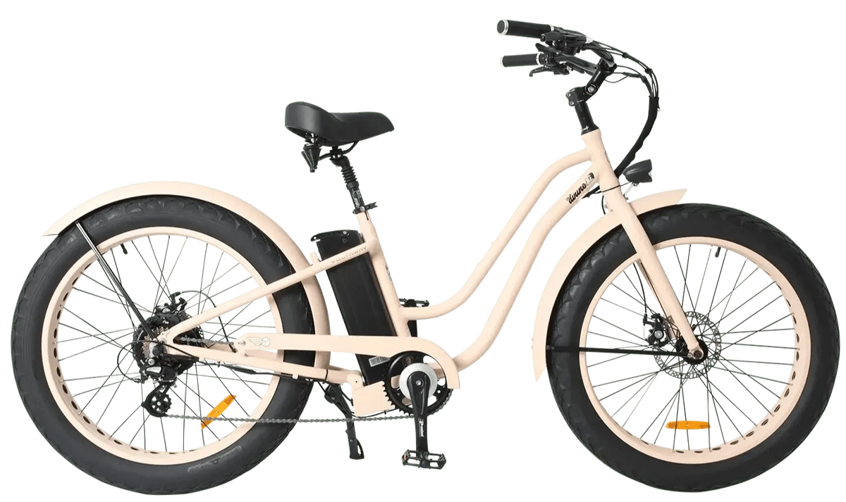 Fatbike cruiser 2024