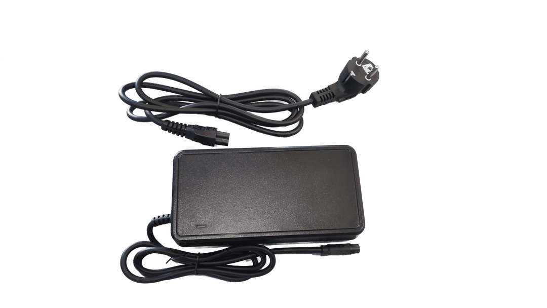 Chargeur VAE 36V 1A Pour Vélo Électrique Victoria Rendsburg – Marque BMZ