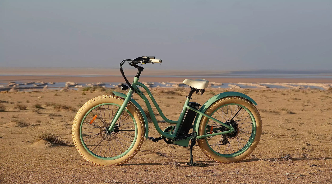 VOLTAWAY Electric Bikes Fat Bike Beach Cruiser Cargo